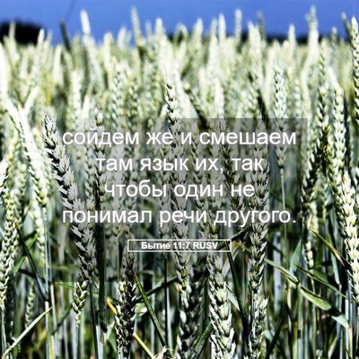 Picture 05 - Бытие 11:7 RUSV - сойдем же и смешаем там - Bible Verse Picture