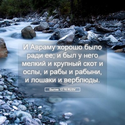 Picture 05 - Бытие 12:16 RUSV - И Авраму хорошо было ради - Bible Verse Picture