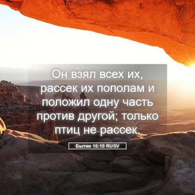 Picture 05 - Бытие 15:10 RUSV - Он взял всех их, рассек их - Bible Verse Picture
