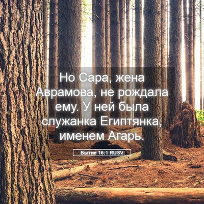 Picture 05 - Бытие 16:1 RUSV - Но Сара, жена Аврамова, не - Bible Verse Picture