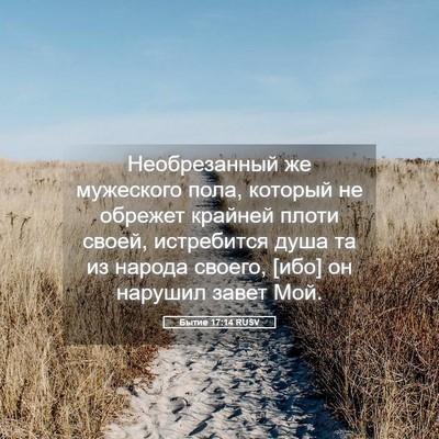 Picture 05 - Бытие 17:14 RUSV - Необрезанный же мужеского - Bible Verse Picture