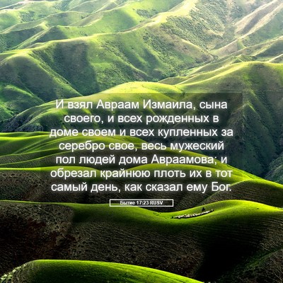 Picture 05 - Бытие 17:23 RUSV - И взял Авраам Измаила, сына - Bible Verse Picture