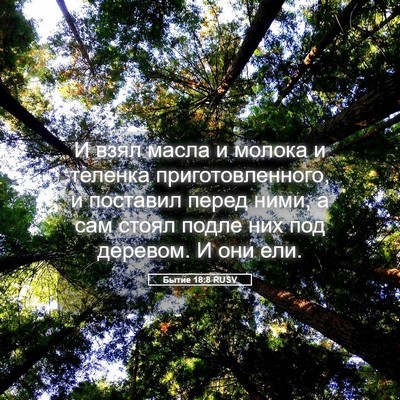 Picture 05 - Бытие 18:8 RUSV - И взял масла и молока и - Bible Verse Picture