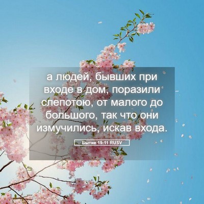 Picture 05 - Бытие 19:11 RUSV - а людей, бывших при входе в - Bible Verse Picture