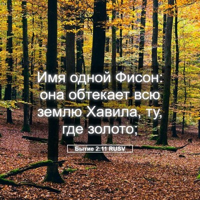 Picture 05 - Бытие 2:11 RUSV - Имя одной Фисон: она - Bible Verse Picture
