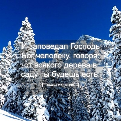 Picture 05 - Бытие 2:16 RUSV - И заповедал Господь Бог - Bible Verse Picture
