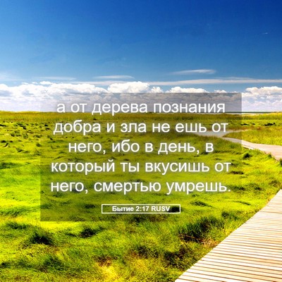 Picture 05 - Бытие 2:17 RUSV - а от дерева познания добра - Bible Verse Picture