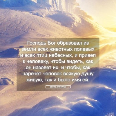 Picture 05 - Бытие 2:19 RUSV - Господь Бог образовал из - Bible Verse Picture