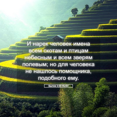 Picture 05 - Бытие 2:20 RUSV - И нарек человек имена всем - Bible Verse Picture