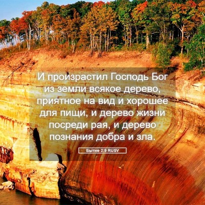 Picture 05 - Бытие 2:9 RUSV - И произрастил Господь Бог - Bible Verse Picture