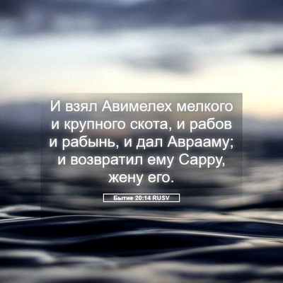 Picture 05 - Бытие 20:14 RUSV - И взял Авимелех мелкого и - Bible Verse Picture