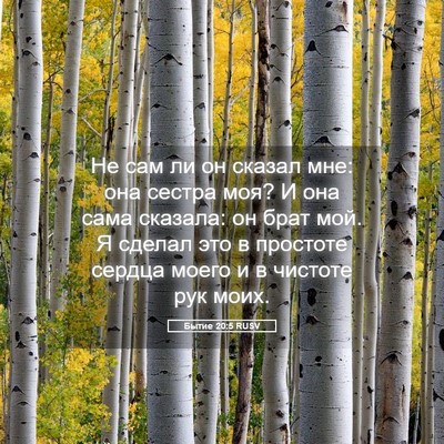 Picture 05 - Бытие 20:5 RUSV - Не сам ли он сказал мне: она - Bible Verse Picture