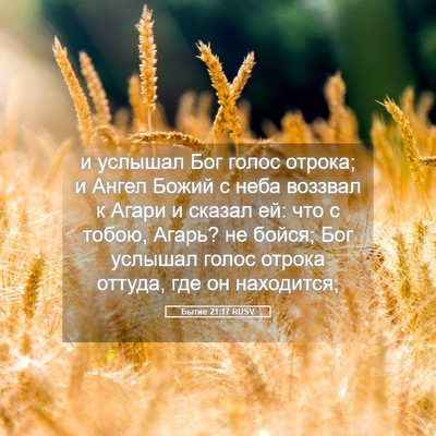 Picture 05 - Бытие 21:17 RUSV - и услышал Бог голос отрока; - Bible Verse Picture