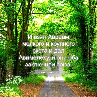 Picture 05 - Бытие 21:27 RUSV - И взял Авраам мелкого и - Bible Verse Picture