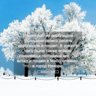 Picture 05 - Бытие 24:10 RUSV - И взял раб из верблюдов - Bible Verse Picture