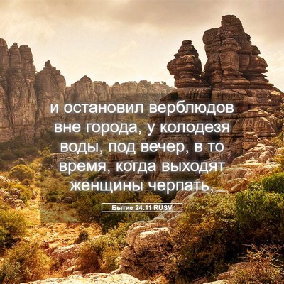 Picture 05 - Бытие 24:11 RUSV - и остановил верблюдов вне - Bible Verse Picture