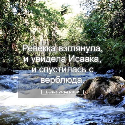Picture 05 - Бытие 24:64 RUSV - Ревекка взглянула, и - Bible Verse Picture