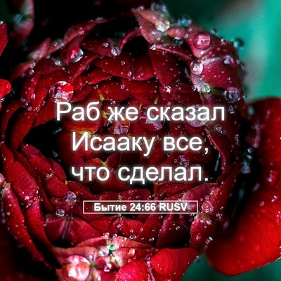 Picture 05 - Бытие 24:66 RUSV - Раб же сказал Исааку все, - Bible Verse Picture