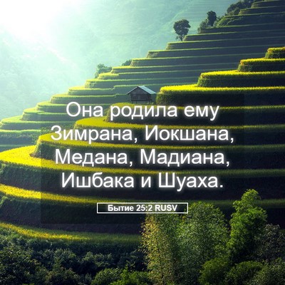 Picture 05 - Бытие 25:2 RUSV - Она родила ему Зимрана, - Bible Verse Picture