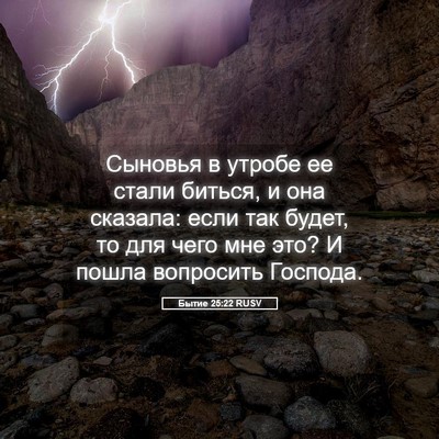 Picture 05 - Бытие 25:22 RUSV - Сыновья в утробе ее стали - Bible Verse Picture