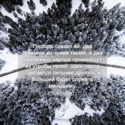 Picture 05 - Бытие 25:23 RUSV - Господь сказал ей: два - Bible Verse Picture
