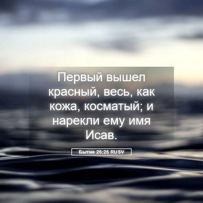 Picture 05 - Бытие 25:25 RUSV - Первый вышел красный, весь, - Bible Verse Picture