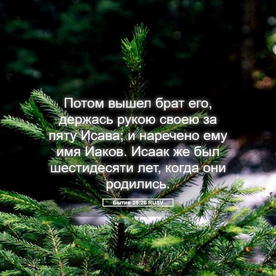 Picture 05 - Бытие 25:26 RUSV - Потом вышел брат его, - Bible Verse Picture