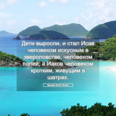 Picture 05 - Бытие 25:27 RUSV - Дети выросли, и стал Исав - Bible Verse Picture