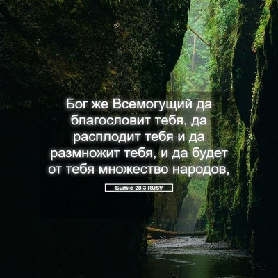 Picture 05 - Бытие 28:3 RUSV - Бог же Всемогущий да - Bible Verse Picture