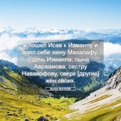 Picture 05 - Бытие 28:9 RUSV - и пошел Исав к Измаилу и - Bible Verse Picture