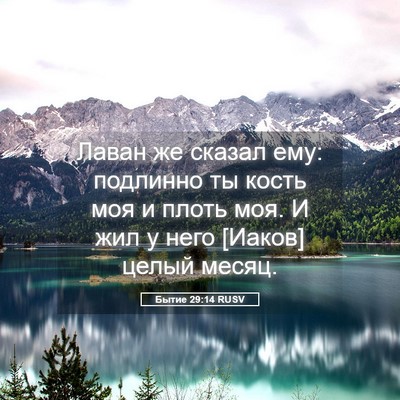 Picture 05 - Бытие 29:14 RUSV - Лаван же сказал ему: - Bible Verse Picture