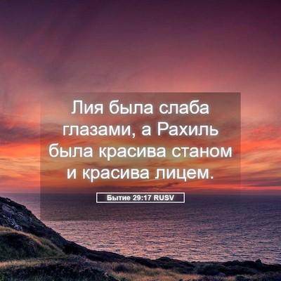 Picture 05 - Бытие 29:17 RUSV - Лия была слаба глазами, а - Bible Verse Picture