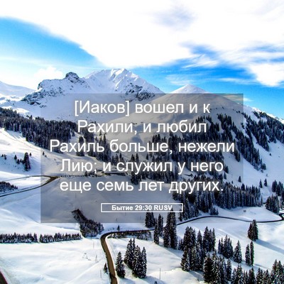 Picture 05 - Бытие 29:30 RUSV - [Иаков] вошел и к Рахили, и - Bible Verse Picture