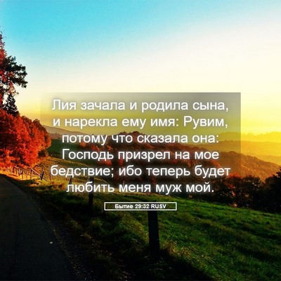 Picture 05 - Бытие 29:32 RUSV - Лия зачала и родила сына, и - Bible Verse Picture