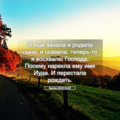 Picture 05 - Бытие 29:35 RUSV - И еще зачала и родила сына, - Bible Verse Picture