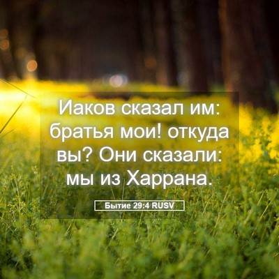 Picture 05 - Бытие 29:4 RUSV - Иаков сказал им: братья - Bible Verse Picture