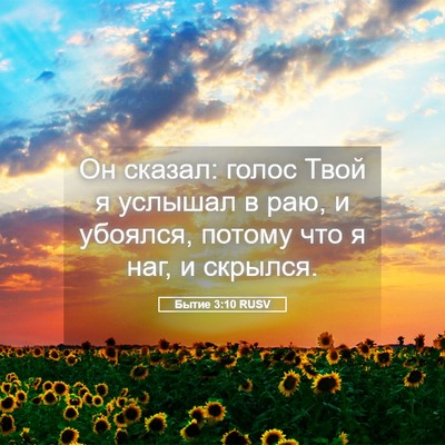 Picture 05 - Бытие 3:10 RUSV - Он сказал: голос Твой я - Bible Verse Picture