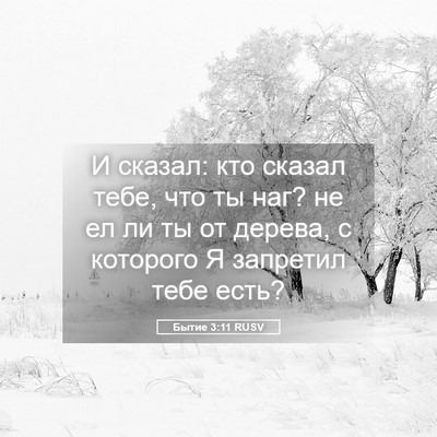 Picture 05 - Бытие 3:11 RUSV - И сказал: кто сказал тебе, - Bible Verse Picture