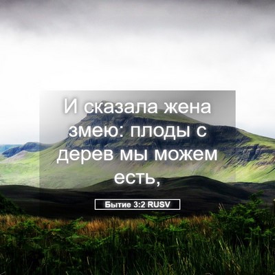 Picture 05 - Бытие 3:2 RUSV - И сказала жена змею: плоды - Bible Verse Picture