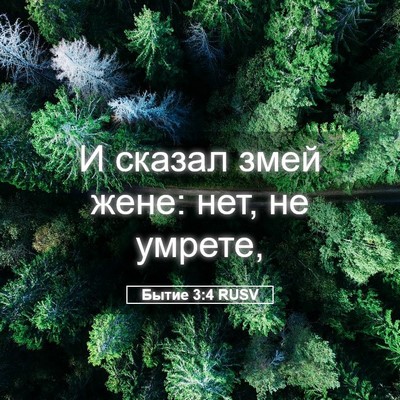 Picture 05 - Бытие 3:4 RUSV - И сказал змей жене: нет, не - Bible Verse Picture