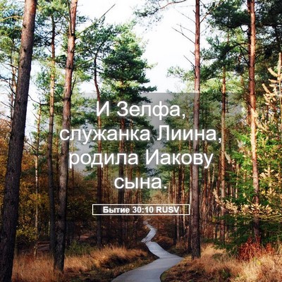 Picture 05 - Бытие 30:10 RUSV - И Зелфа, служанка Лиина, - Bible Verse Picture