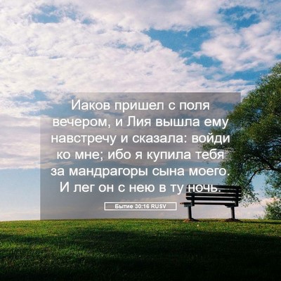 Picture 05 - Бытие 30:16 RUSV - Иаков пришел с поля - Bible Verse Picture