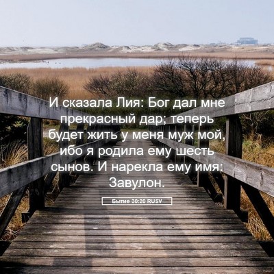 Picture 05 - Бытие 30:20 RUSV - И сказала Лия: Бог дал мне - Bible Verse Picture