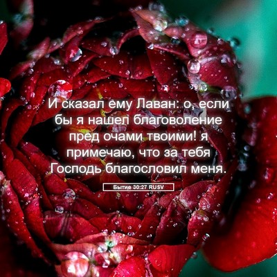 Picture 05 - Бытие 30:27 RUSV - И сказал ему Лаван: о, если - Bible Verse Picture