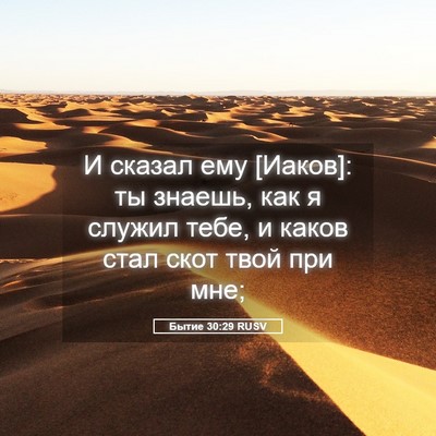 Picture 05 - Бытие 30:29 RUSV - И сказал ему [Иаков]: ты - Bible Verse Picture