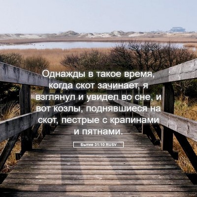 Picture 05 - Бытие 31:10 RUSV - Однажды в такое время, - Bible Verse Picture