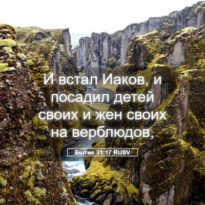 Picture 05 - Бытие 31:17 RUSV - И встал Иаков, и посадил - Bible Verse Picture