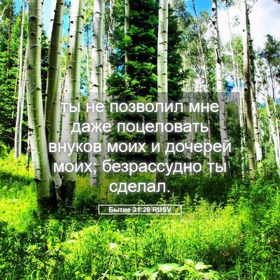 Picture 05 - Бытие 31:28 RUSV - ты не позволил мне даже - Bible Verse Picture