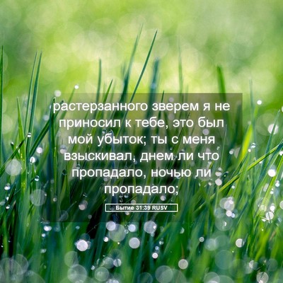 Picture 05 - Бытие 31:39 RUSV - растерзанного зверем я не - Bible Verse Picture