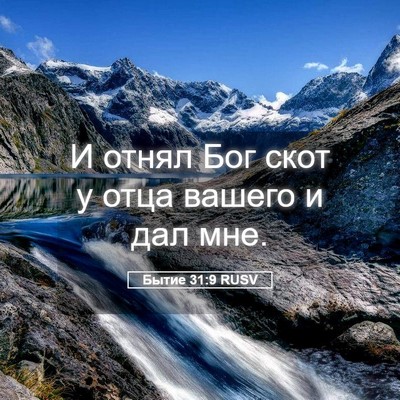 Picture 05 - Бытие 31:9 RUSV - И отнял Бог скот у отца - Bible Verse Picture